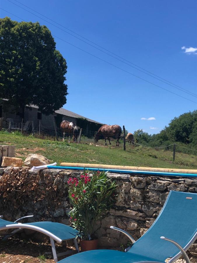 La Ferme De La Truffe Chambres D Hotes Cuzance Luaran gambar